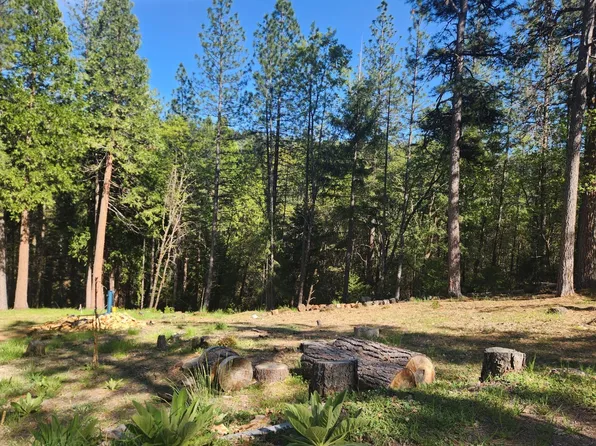 5508 Five Spot Rd, Pollock Pines, CA 95726