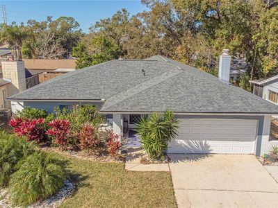 2320 Citrus Hill Rd, Palm Harbor, FL, 34683