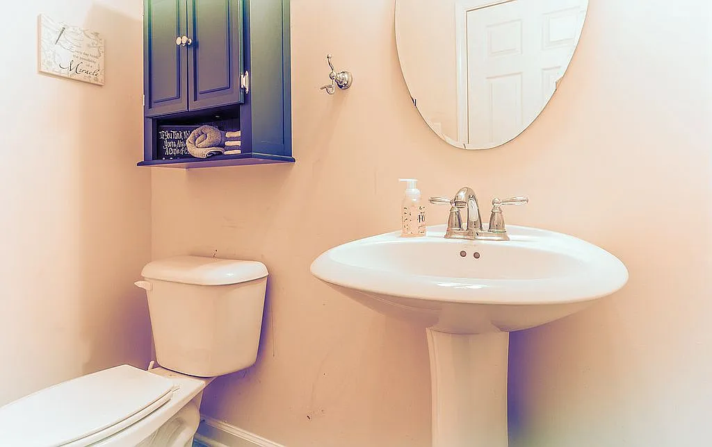 18721 Mary Flowers Way photo 1
