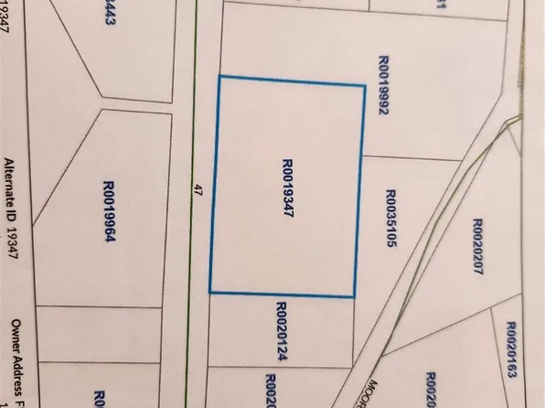 98 Wilkins Road, Bailey, CO 80421