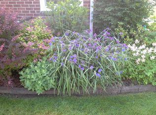 6 Ridgemont Ct, Dearborn, MI 48124