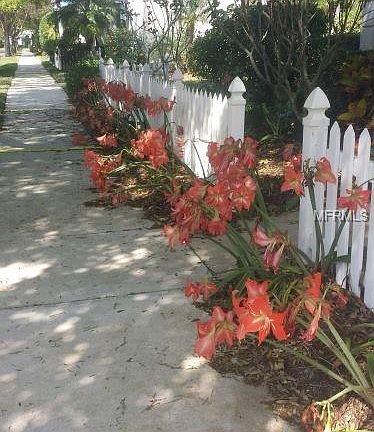 3rd image of 557 Meadow Sweet Cir