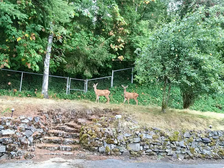 SE Tenino Ct — Photo 4