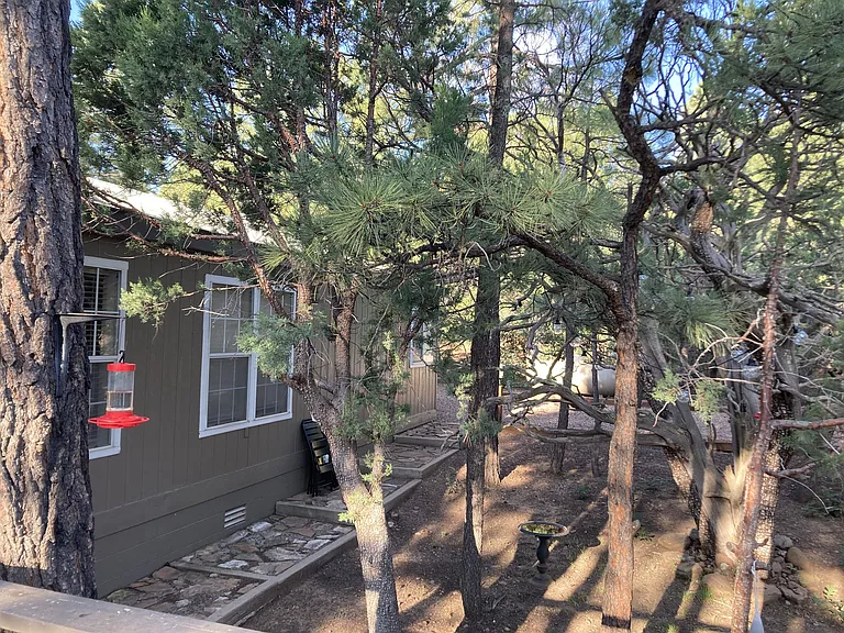 3239 Pine Needle Dr — Photo 20