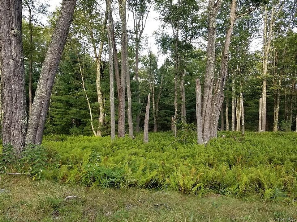 2nd image of Cold Spring Rd