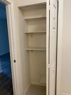 bathroom closet
