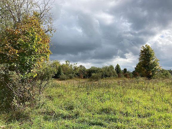 3rd image of 14588 County Road 14 Lot Wp 001