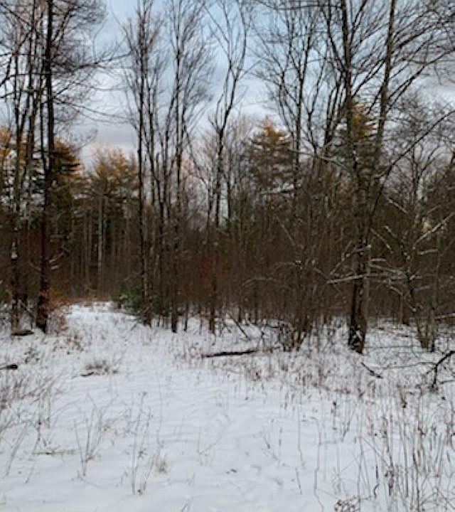 2nd image of 188 Alps Mountain Rd