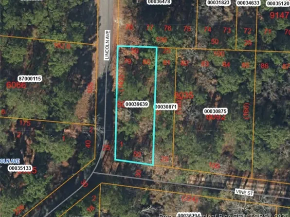 Lincoln Ave, Vass, NC 28394