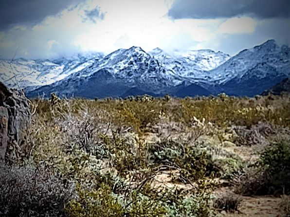 15721 S Roy Rogers Rd, Yucca, AZ 86438