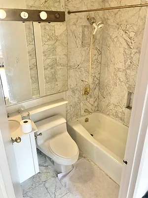 Rented by New York City Apartments | media 18