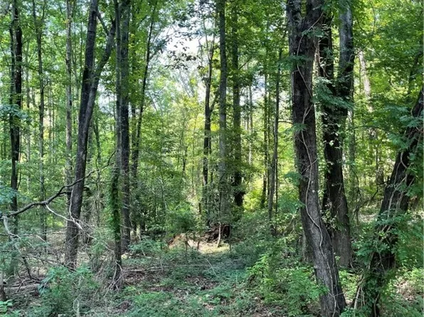 1-2 Three #4-5-6, Northport, AL 35473