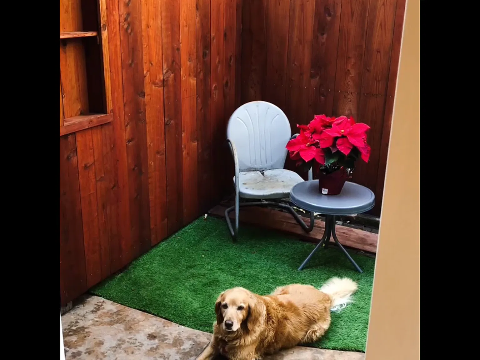 853 San Anselmo Ave — Photo 4