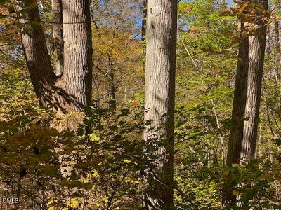 LOT 6 Sepelo Way Lot 6, Efland, NC, 27243