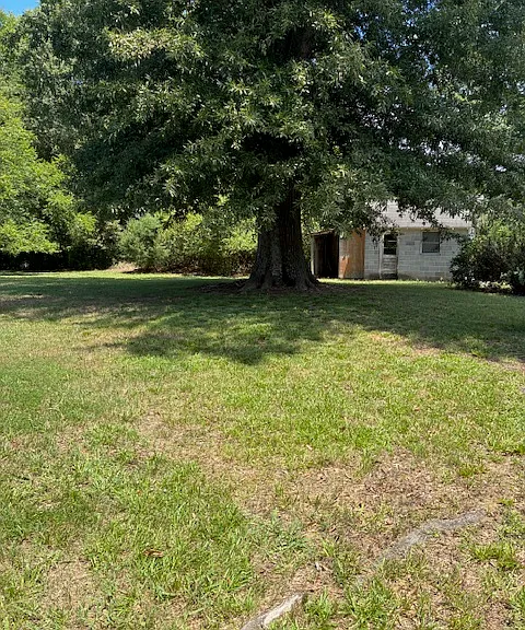 1468 Hilltop St — Photo 11