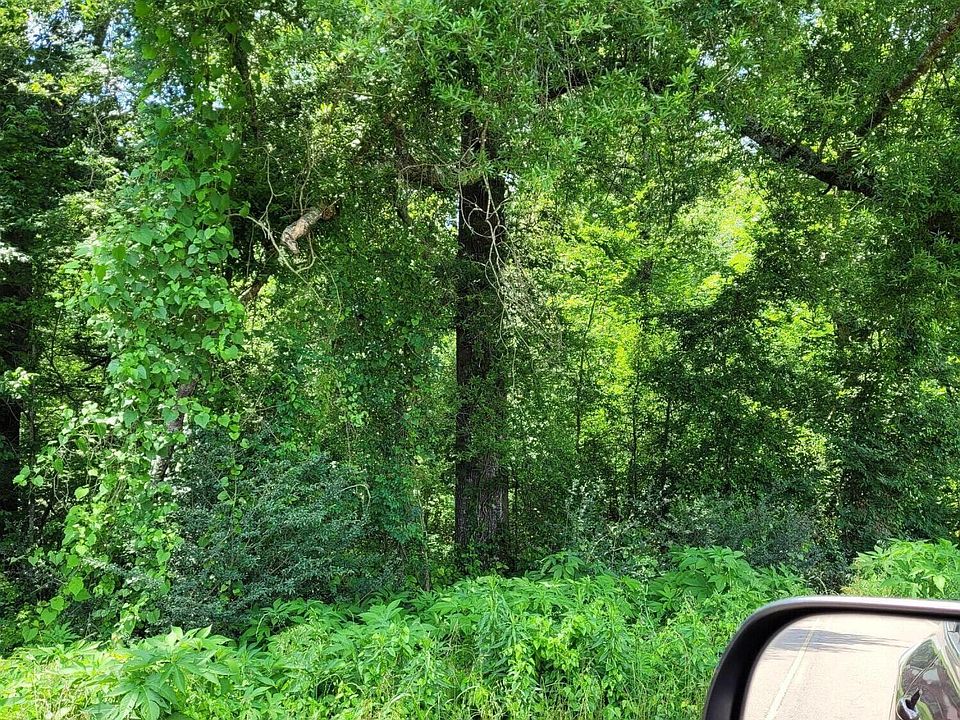 2nd image of Old Port Gibson Road Bush Btm
