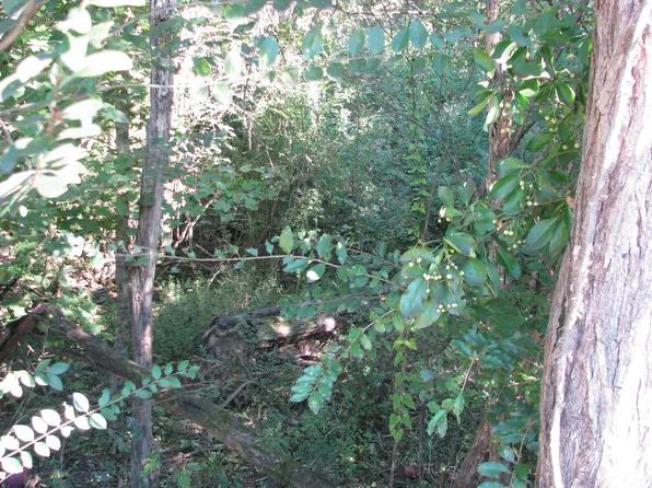 596 High St E, Mc Ewen, TN 37101