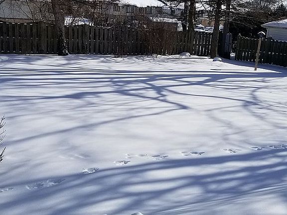 3rd image of 5821 Sunrise Ave