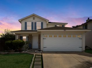 14306 Yellow Warbler, San Antonio, TX 78233