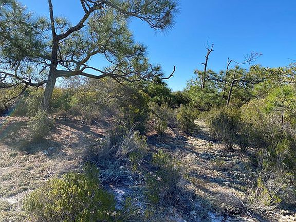 3rd image of 670 Gulf Shore Dr