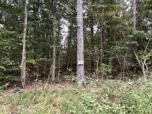 0 Rimfire Dr Lot 4, Beechgrove, TN 37018