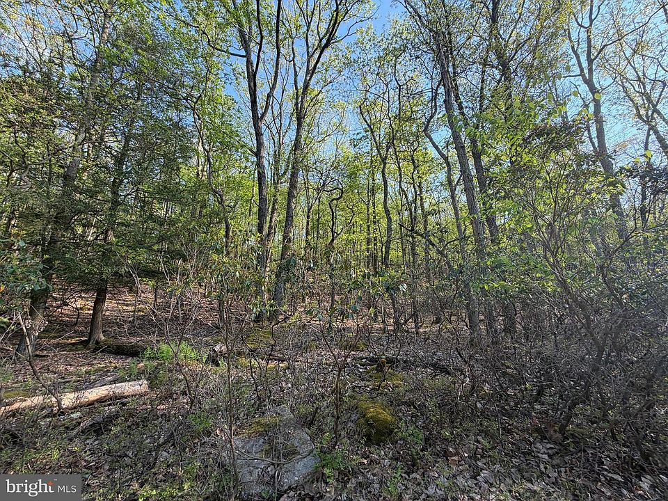 1st image of 462 Spring Mountain Dr