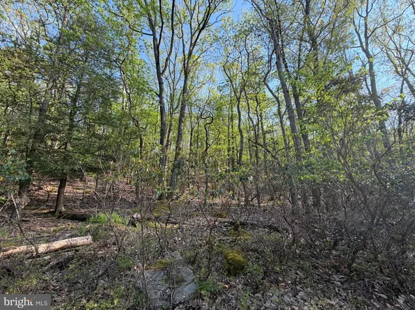 462 Spring Mountain Dr, Zion Grove, PA 17985