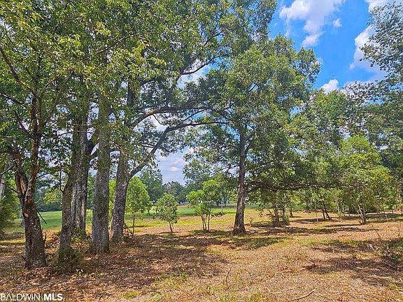 2nd image of 19330 County Road 68