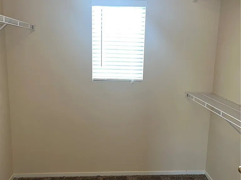 10236 Wolf Pack Ln — Photo 15