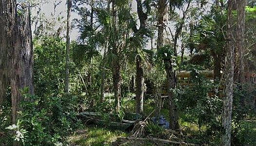 2nd image of 14473 W Beaverdam Ln