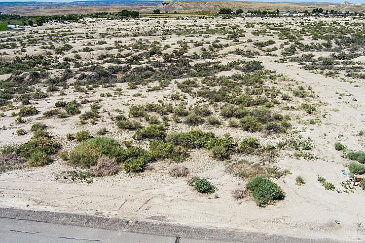 2nd image of Appaloosa St Lot 33