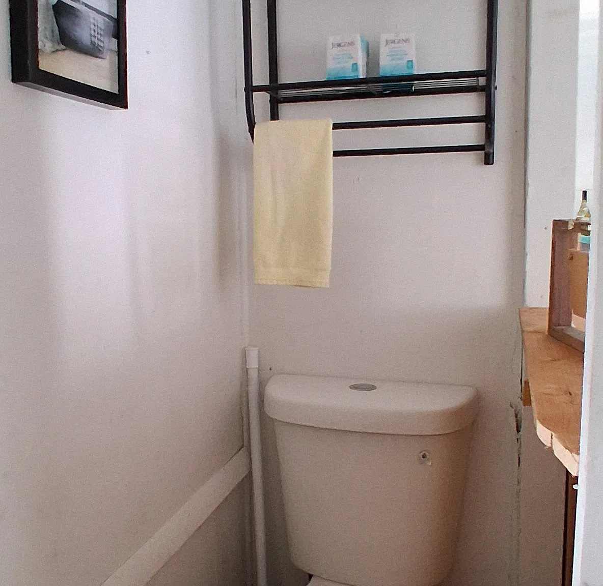 1731 Ixora Dr — Photo 4