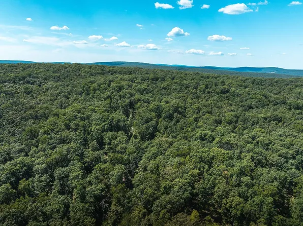 2 Buck Mountain Rd, Doe Run, MO 63637