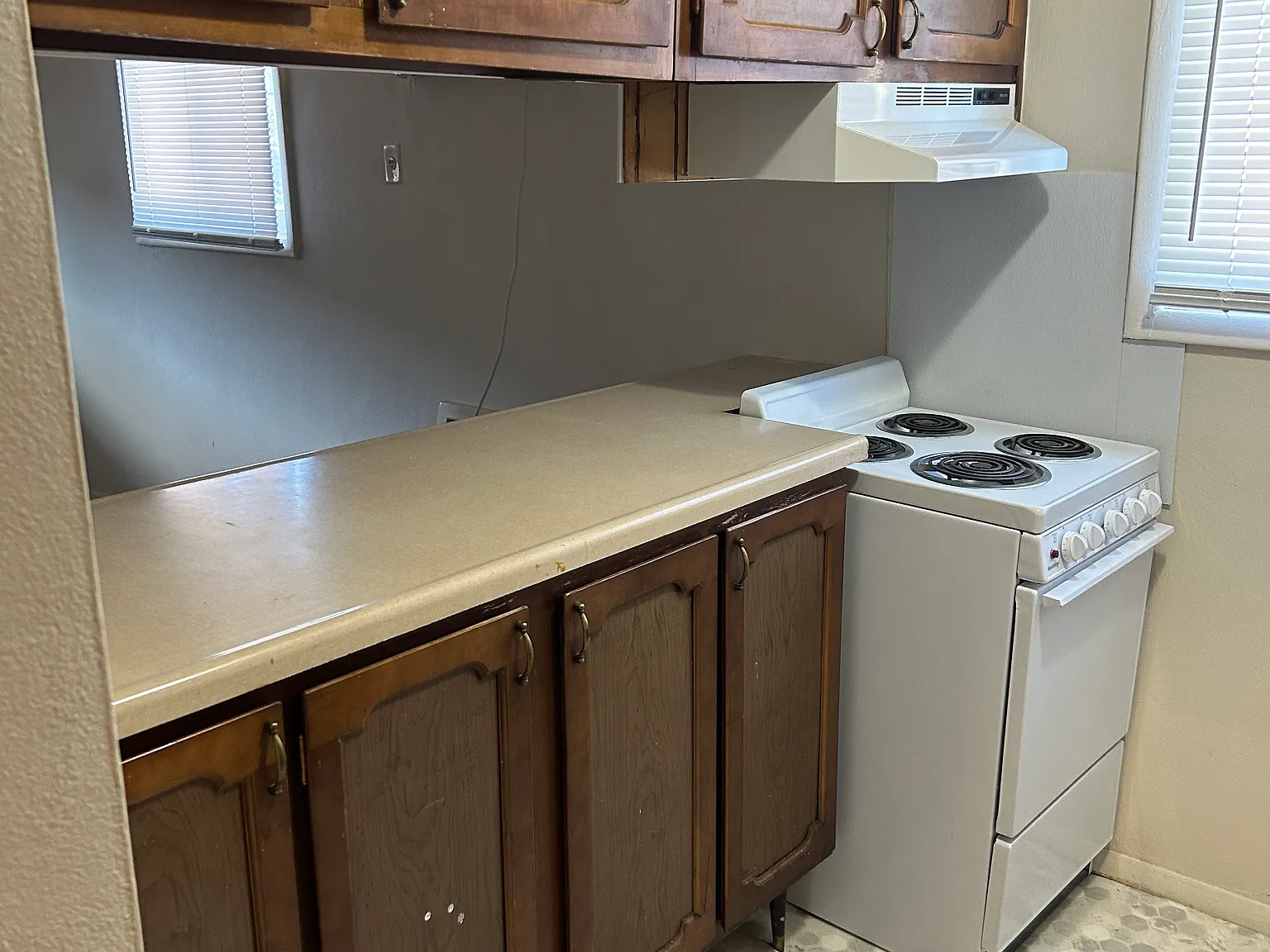 1 bed, $750 — Photo 3