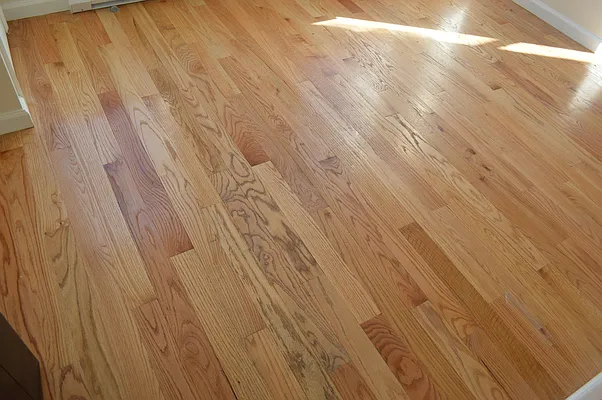 Rented by CoSo Apartments | media 50