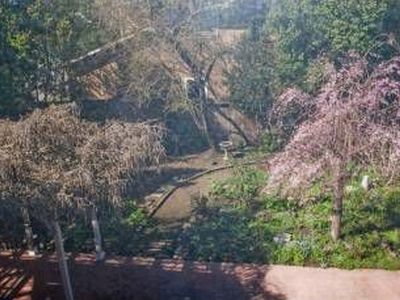 225 Hahn Way, Cotati, CA, 94931