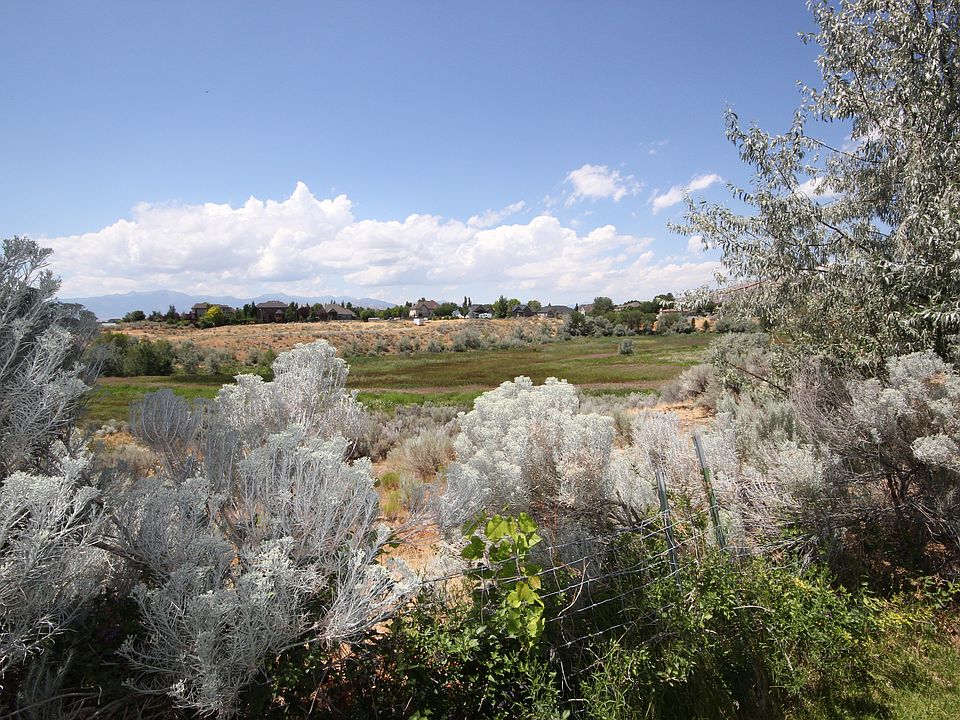 West-side view from front yard