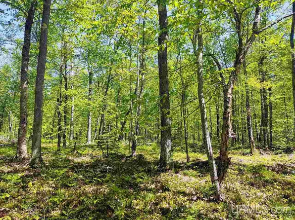 PARCEL Point Abbaye Rd #D, Lanse, MI 49946