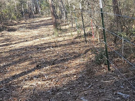 5th image of 2769 County Road 2604