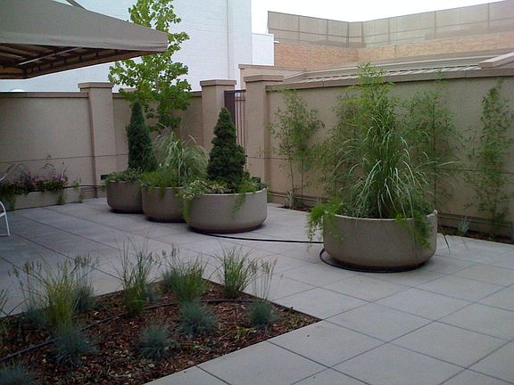 Early view of landscaping