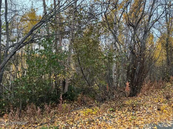 4916 S Horseshoe Lake Rd, Wasilla, AK 99623