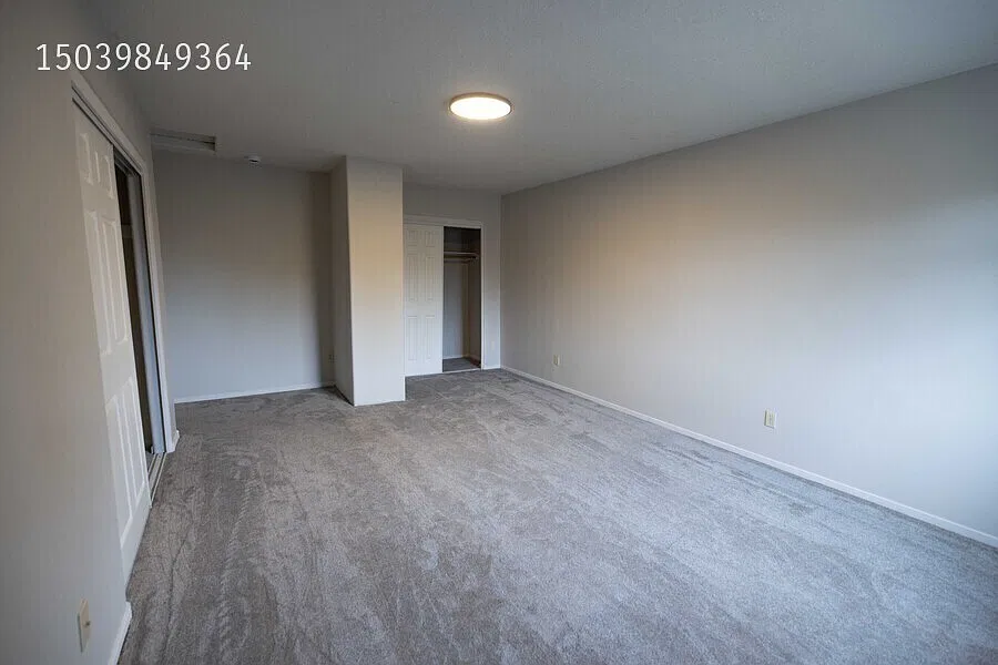 SwanNest 401 — Photo 4