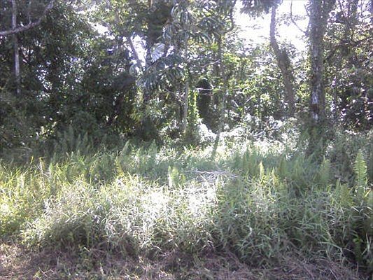 1st image of 22nd Ave