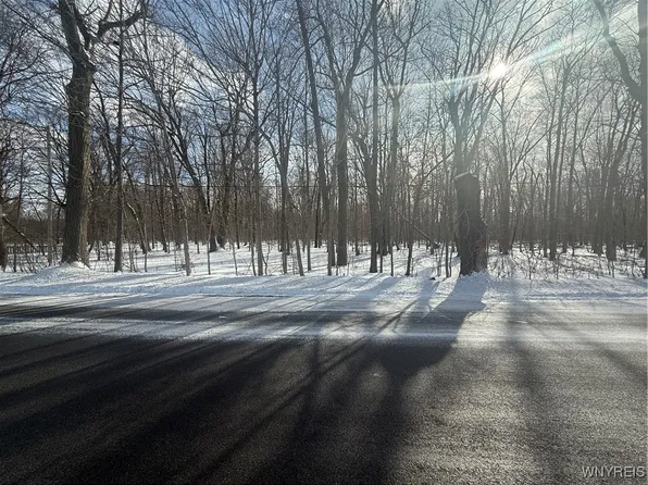 Stage Rd Lot 13, Akron, NY 14001