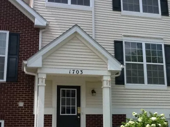1703 W Turtle Creek Ln, Round Lake, IL 60073