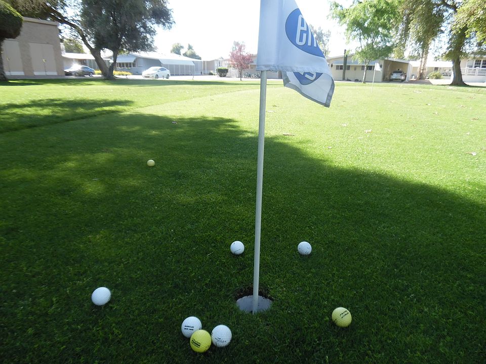 1st image of 10960 N 67th Ave Lot 111