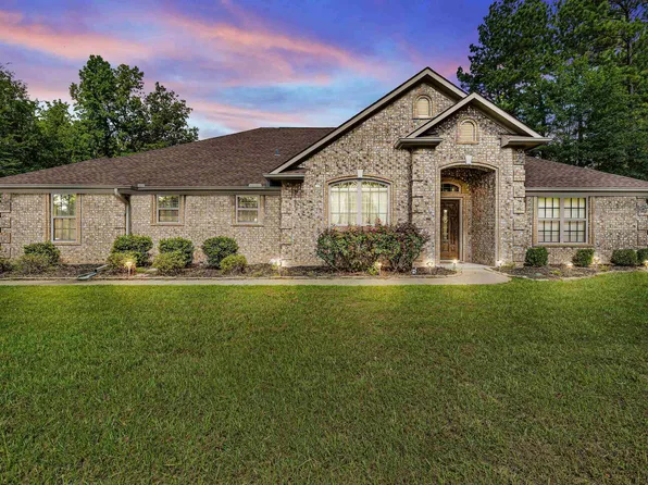 115 Heather Ln, Diana, TX 75640