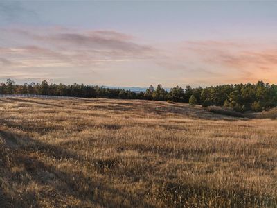 11008 Sunset Oaks Place, Franktown, CO, 80116