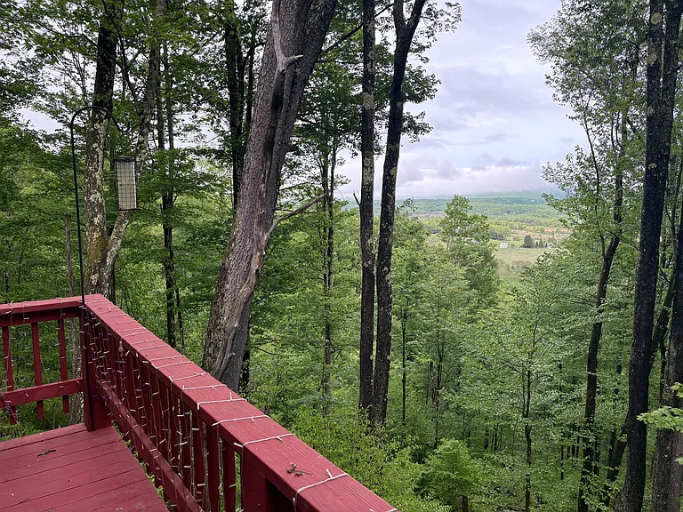 52 Eagle Flight Ln — Photo 5