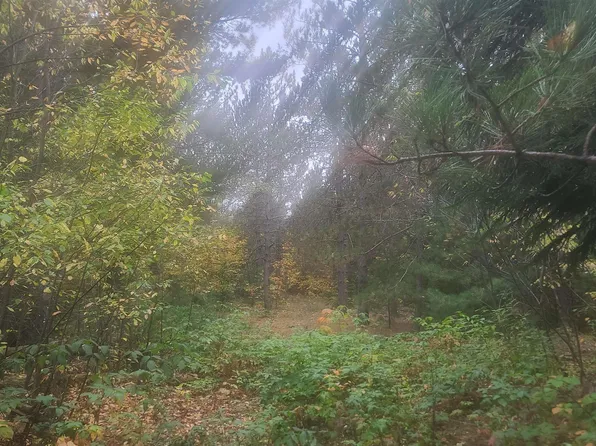 0 Cedar River Rd, Mancelona, MI 49659